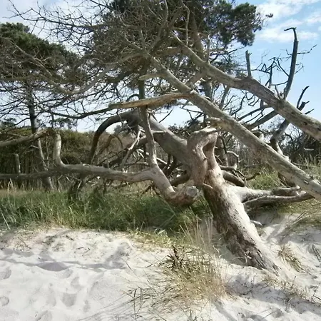 Sonnenstrand 07
